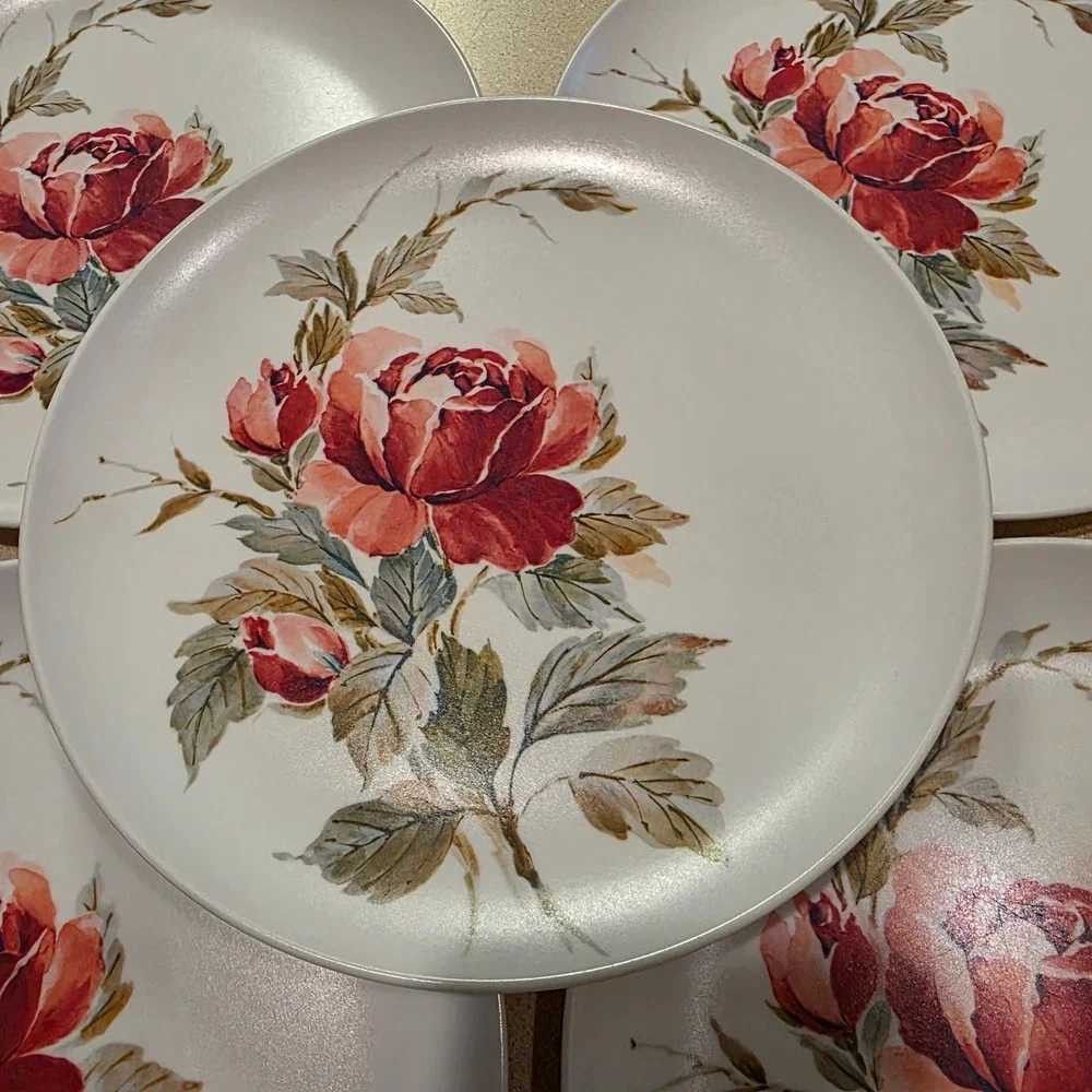 Melamine Dinner Plates 9